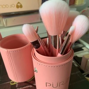 Pur brush set